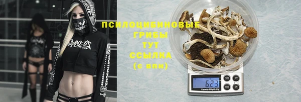 ECSTASY Краснослободск